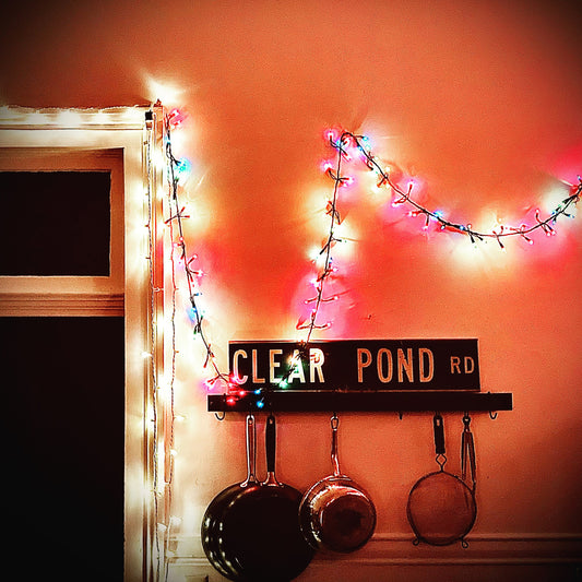 Kristin Hersh - Clear Pond Road - South
