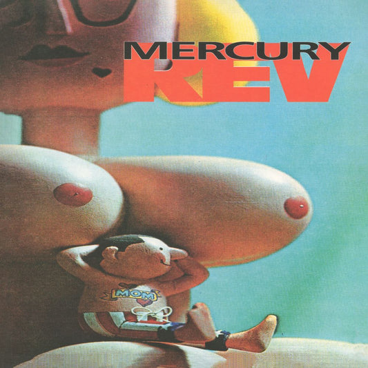 mercury rev boces south records 2026