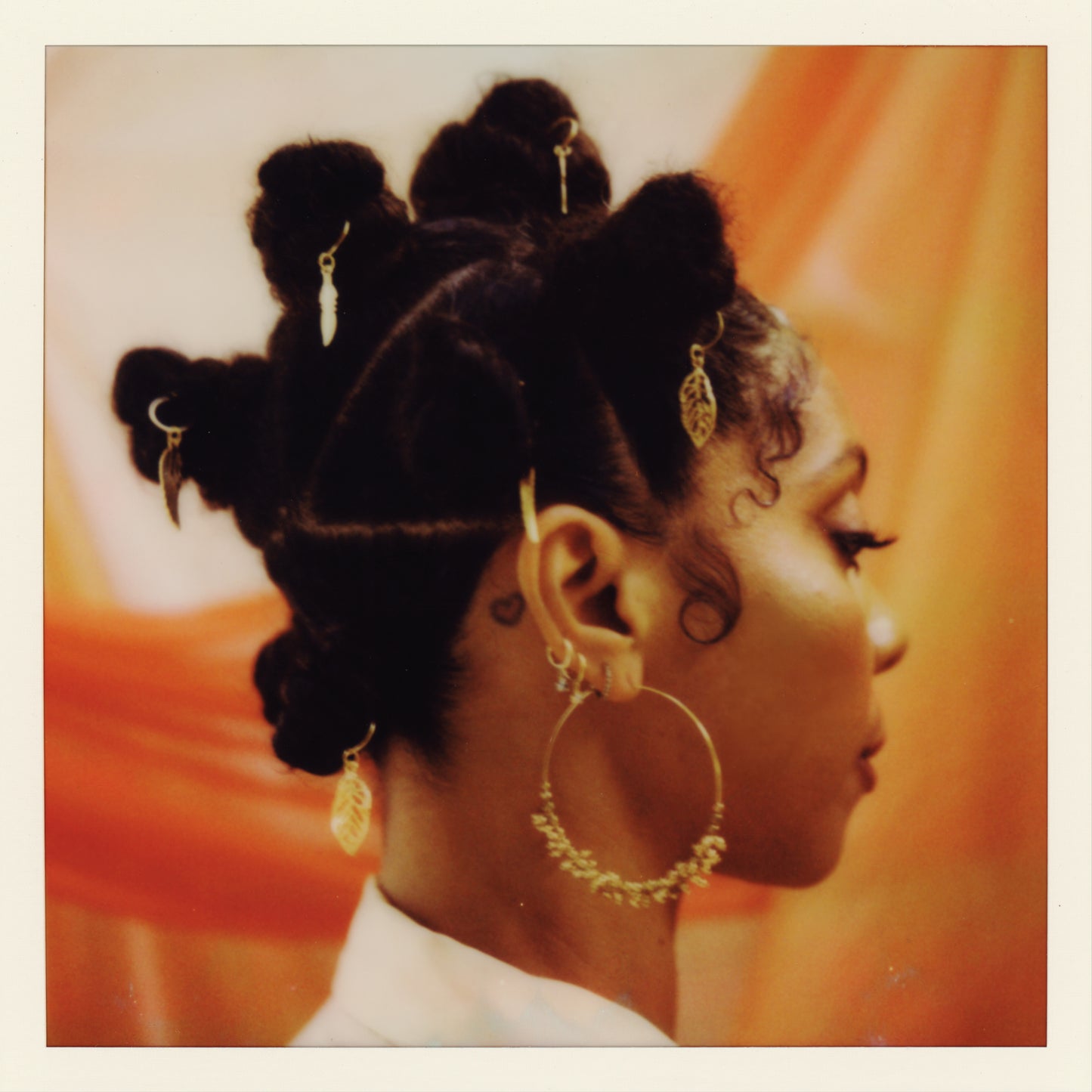 hollie cook shy girl album south records