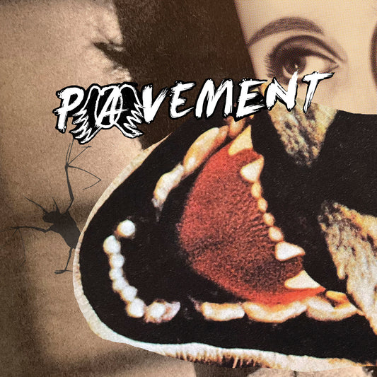 Pavement - Hecklers Choice: Big Gums and Heavy Lifters - A Pavement Collection south records southend