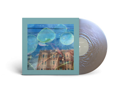 the reds pinks and purples acknowledge kindness fog glass coloured vinyl