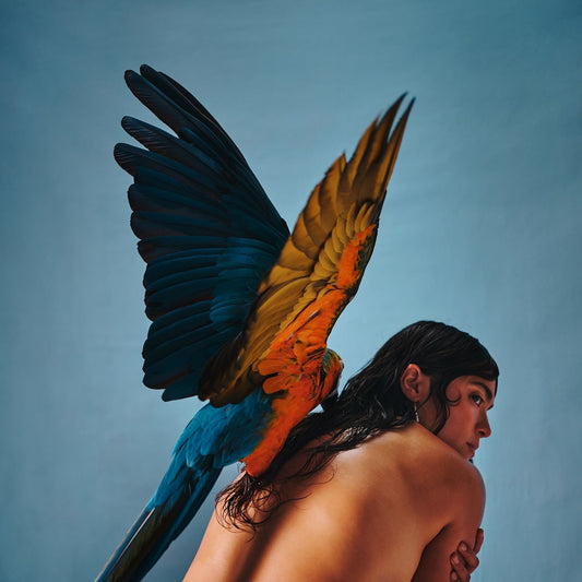 Reyna Tropical - Malegría - South