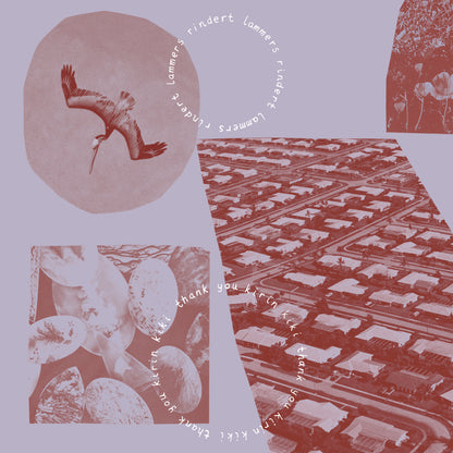 Rindert Lammers Thank You Kirin Kiki album cover