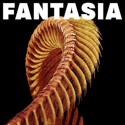 slift fantasia  album artwork 2026 sub pop