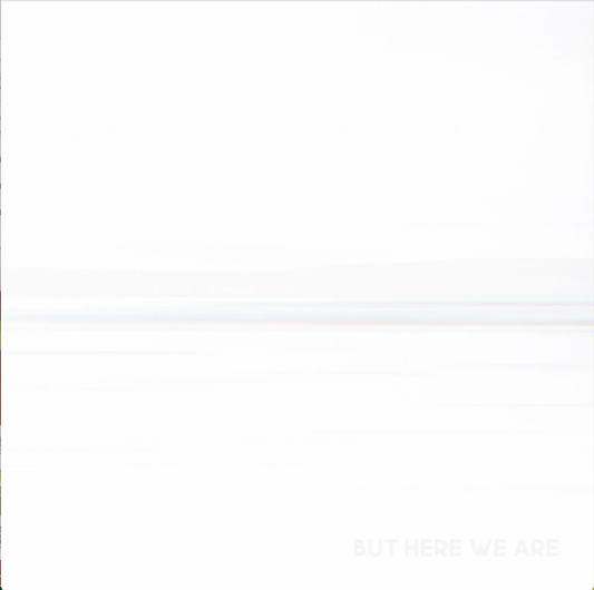 Foo Fighters - But Here We Are - South