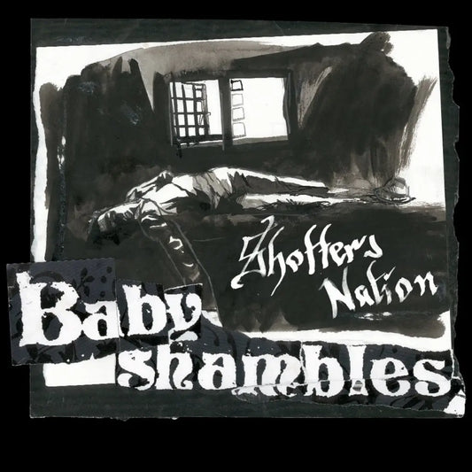 Babyshambles - Shotters Nation
