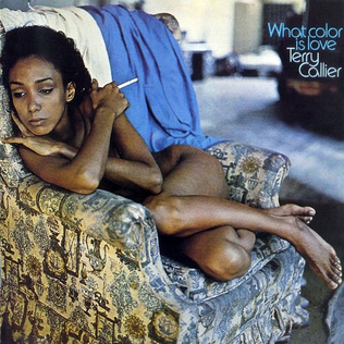 Terry Callier - What Color Is Love