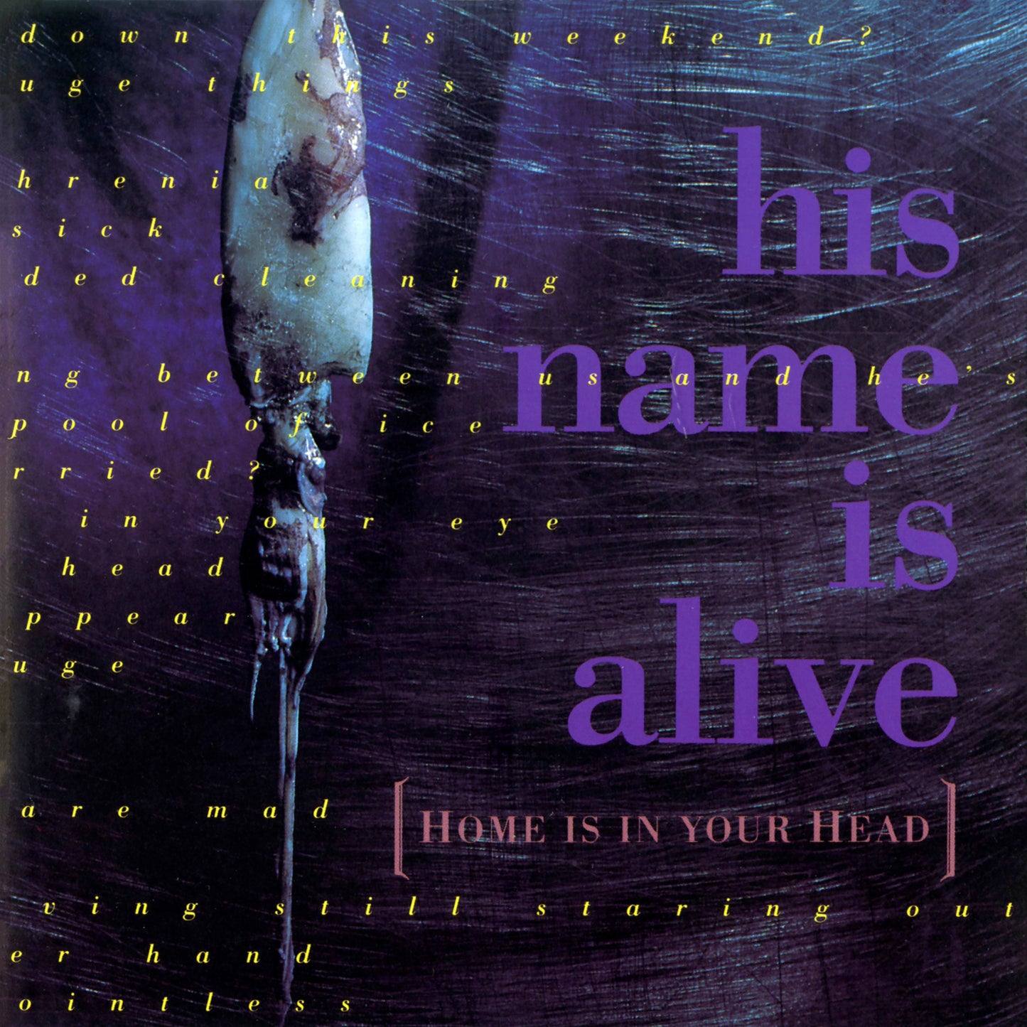 His Name Is Alive - Home Is In Your Head album artwork