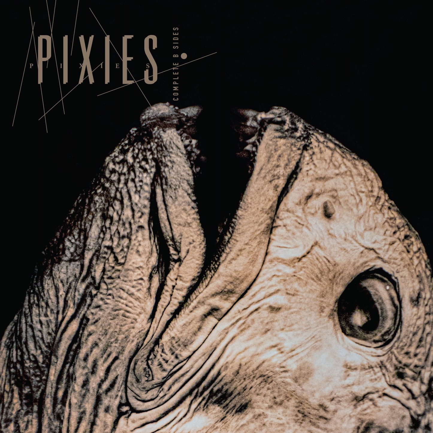 Pixies - Complete B-Sides 1988-97 vinyl album 2026 south records