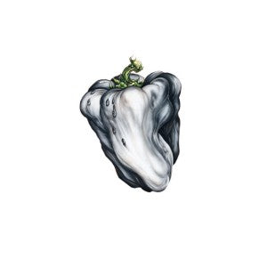 ween white pepper vinyl 2026 south records