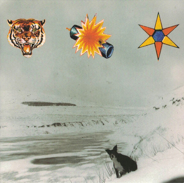 the beta band the three eps south records