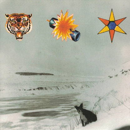 the beta band the three eps south records