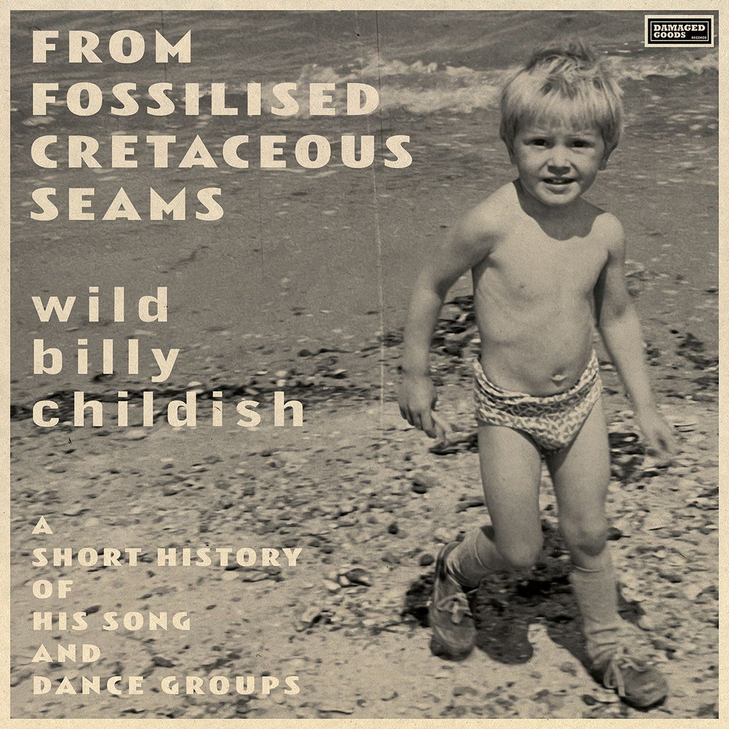 Wild Billy Childish	- From Fossilised Cretaceous Seams: A Short History of His Song and Dance Groups