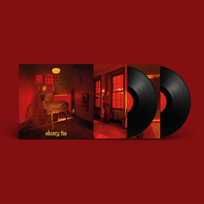 Fontaines DC - Skinty Fia