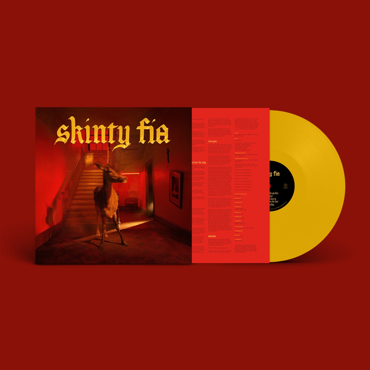 Fontaines DC - Skinty Fia