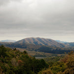 Dirty Projectors & Björk - Mount Wittenburg Orca