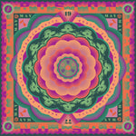 Grateful Dead - Boston Garden, Boston, MA 5/7/77