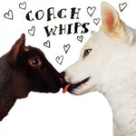 Coachwhips - Bangers vs Fuckers-CD-South