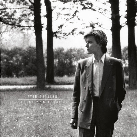 David Sylvian - Brilliant Trees-LP-South
