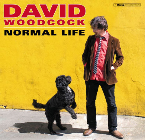 David Woodcock - Normal Life