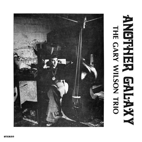 Gary Wilson - Another Galaxy-LP-South