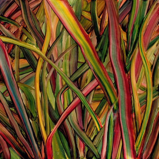 Gengahr - Where Wildness Grows-LP-South