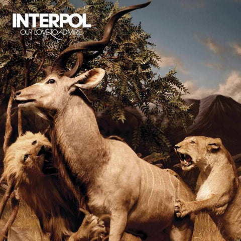 Interpol - Our Love To Admire-CD-South