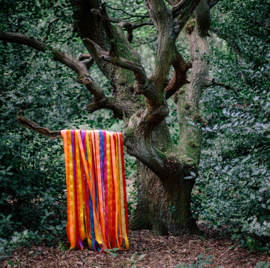 James Holden & The Animal Spirits - The Animal Spirits-LP-South