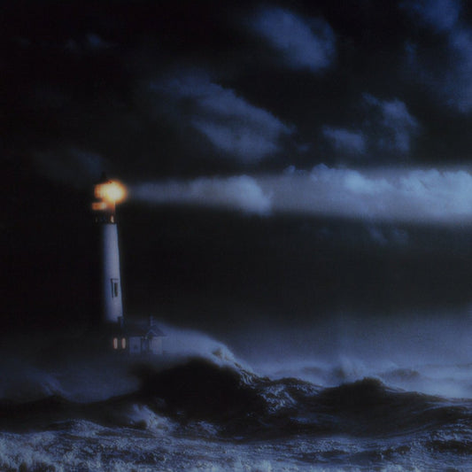 John Maus - We Must Become The Pitiless Censors Of Ourselves-LP-South