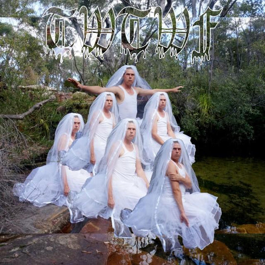 Liars - Titles With The Word Fountain-LP-South