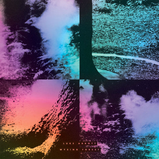 Luke Abbott - Wysing Forest-CD-South