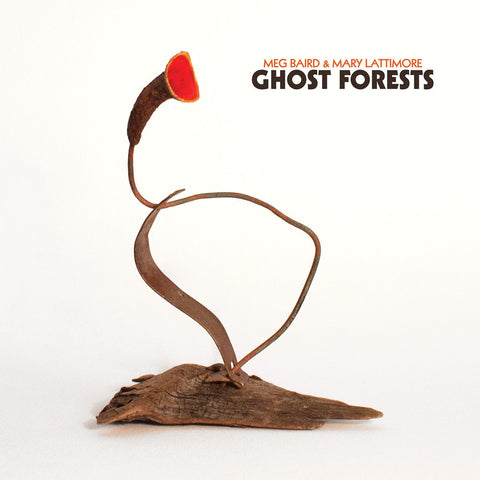 Meg Baird & Mary Lattimore - Ghost Forest-LP-South