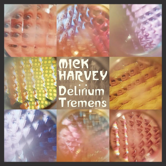 Mick Harvey - Delirium Tremens: Songs Of Serge Gainsbourg Vol.3-CD-South