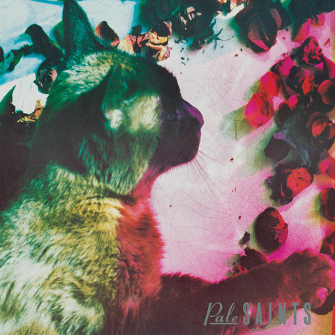 Pale Saints - The Comforts Of Madness (30th Anniversary Remaster)