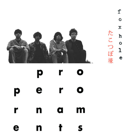 Proper Ornaments - Foxhole-CD-South