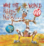 Public Image Ltd - What The World Needs Now-CD-South