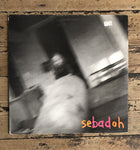 Sebadoh - Rocking The Forest