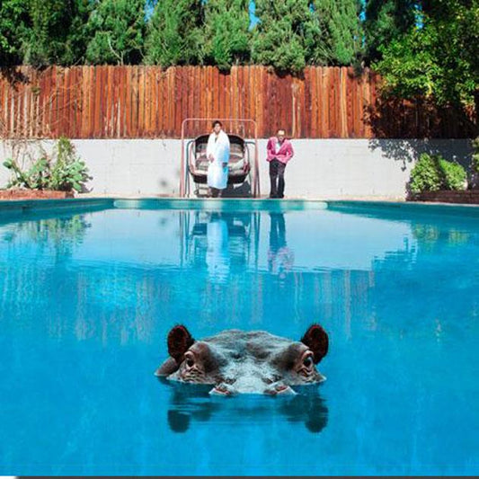 Sparks - Hippopotamus-CD-South