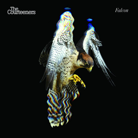 The Courtneeners - Falcon-LP-South
