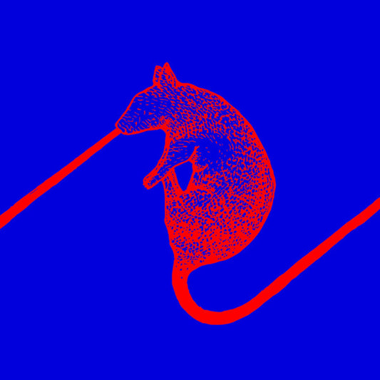 The Dwarfs Of East Agouza - Rats Don't Eat Synthesizers-LP-South