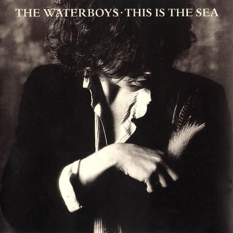 The Waterboys - This Is The Sea-Vinyl LP-South