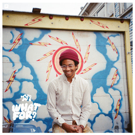 Toro y Moi - What For?-CD-South