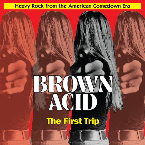 Various - Brown Acid: The First Trip-Vinyl LP-South