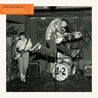 Various - Strum & Thrum: The American Jangle Underground 1983-1987